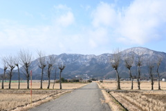 弥彦山　DSC_0078