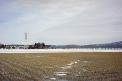 風景写真　DSC00393