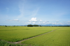 風景写真　DSC00766
