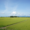風景写真　DSC00766