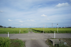 田園風景　DSC00786