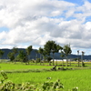 夏井のハザ木　DSC_1189