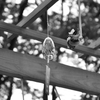 金峰神社　DSC_0024
