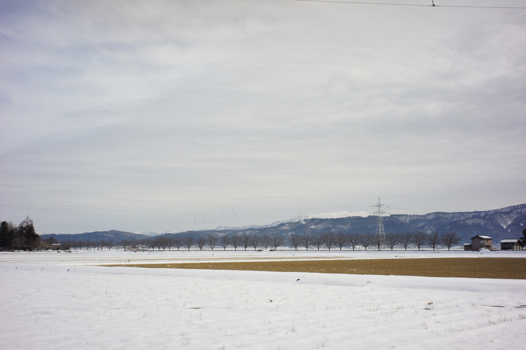 風景写真　DSC00390