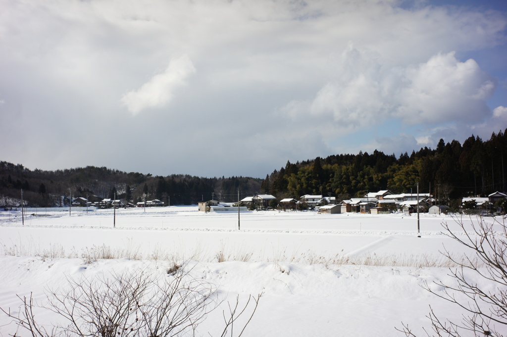 風景写真　DSC00444