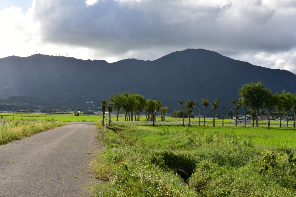 弥彦山　DSC_1188