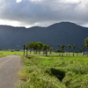 弥彦山　DSC_1188