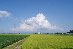 夏空　IMGP3854