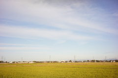 秋空　DSC00102