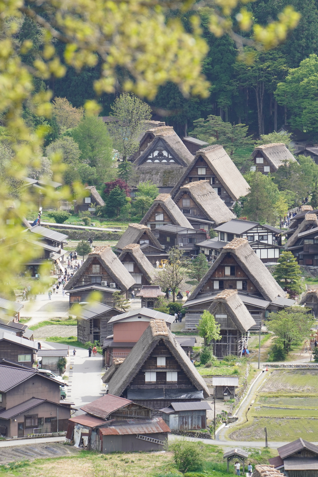 白川郷1