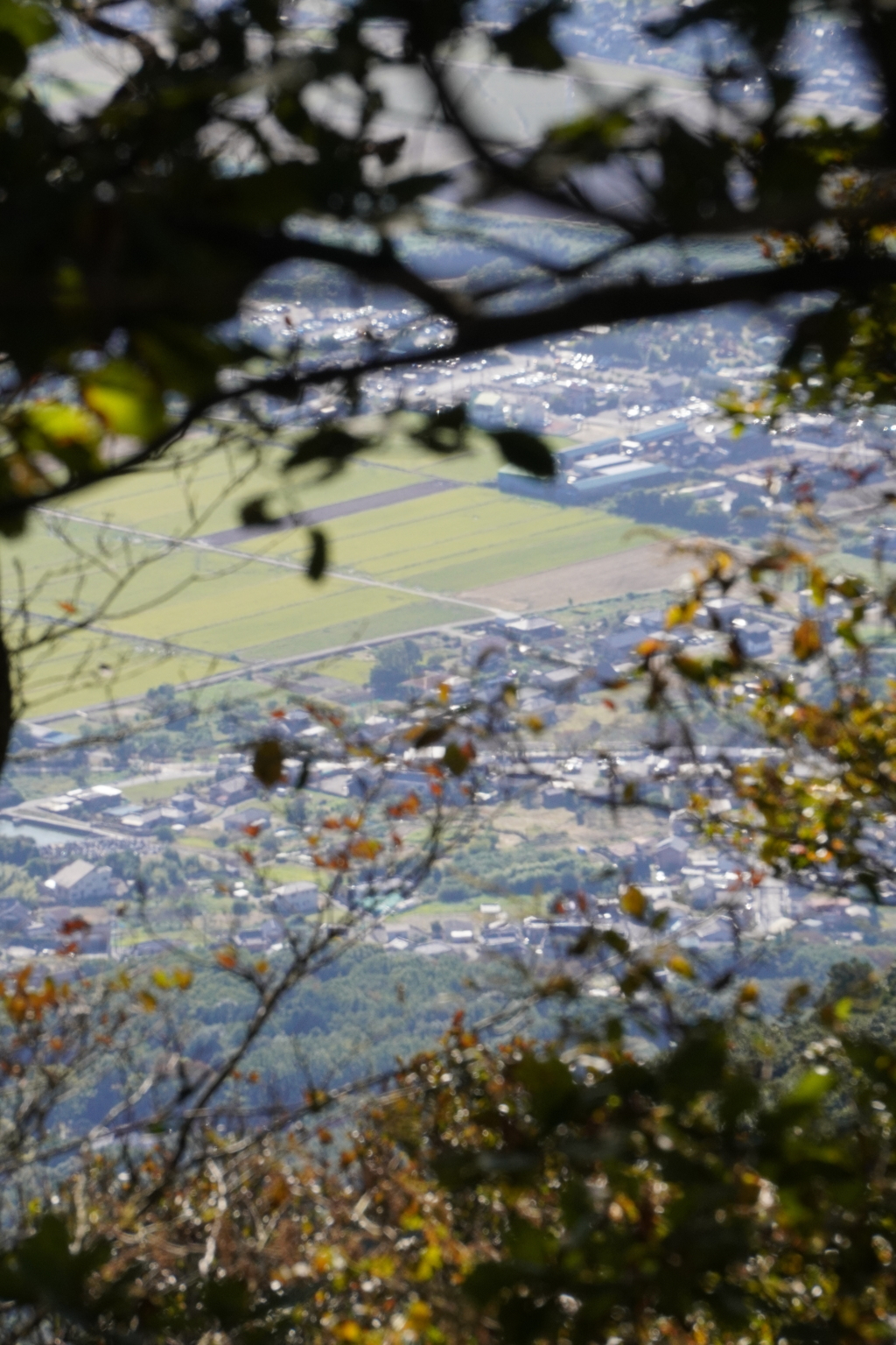 町