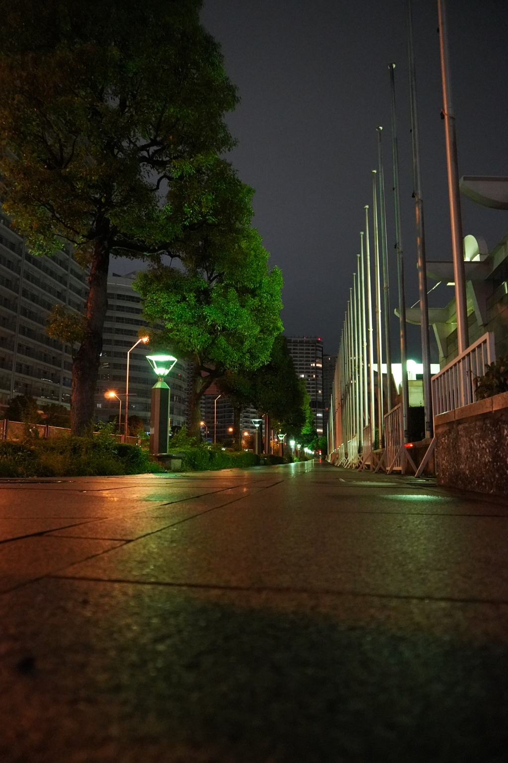 道