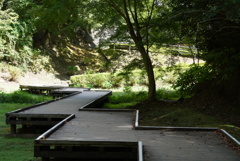 亀岩の洞窟→橋