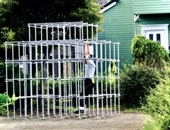 エクササイズⅡ