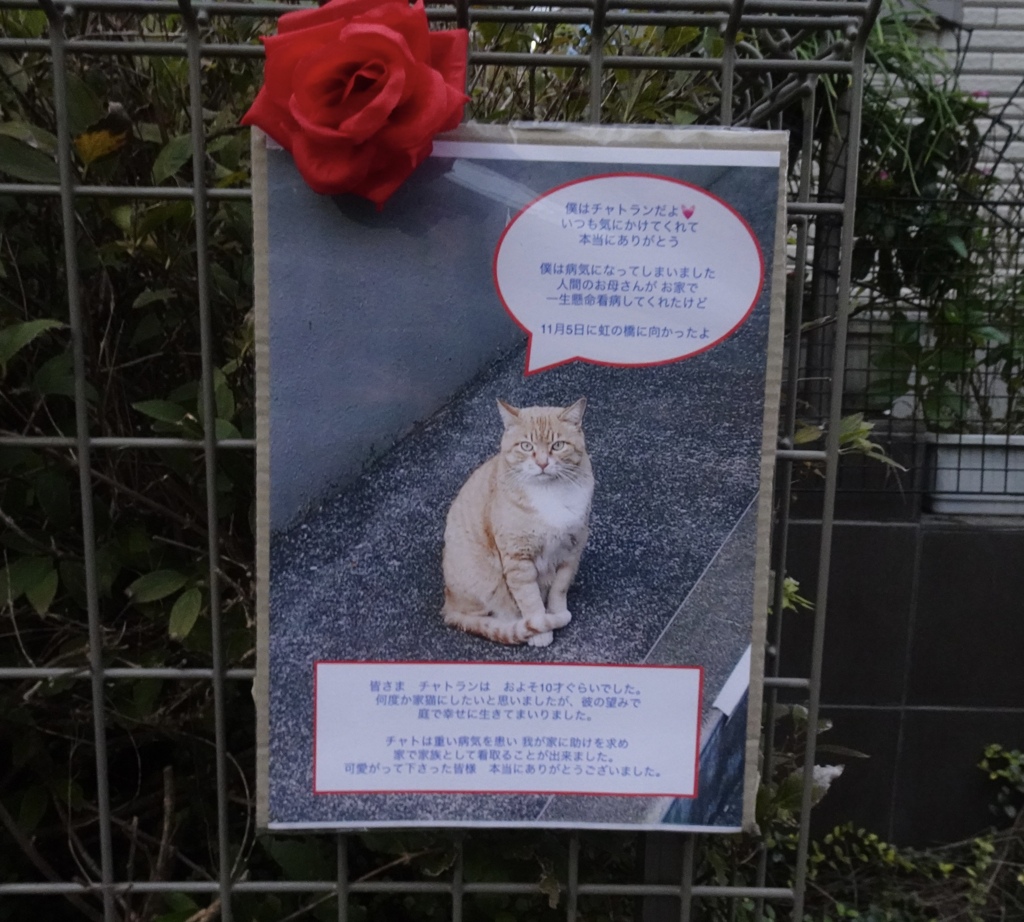 チャトラン安らかに