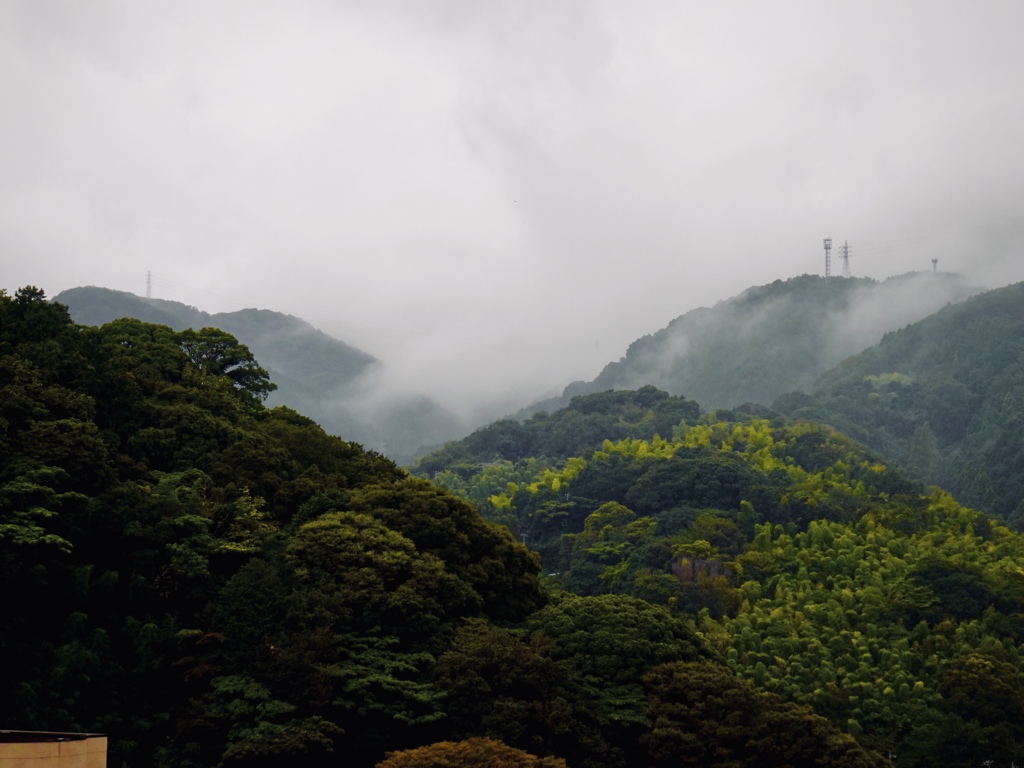 雨にけぶる伊東の山々(Ⅱ)