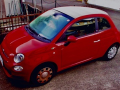 冬の朝 FIAT500