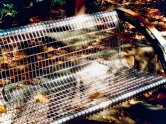 秋陽差すベンチ