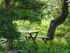 森の中のテーブル