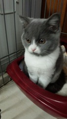 海くん今日から家族だね