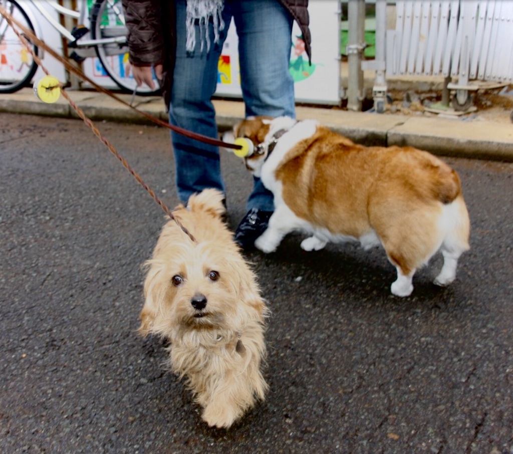 神様からの贈り物
