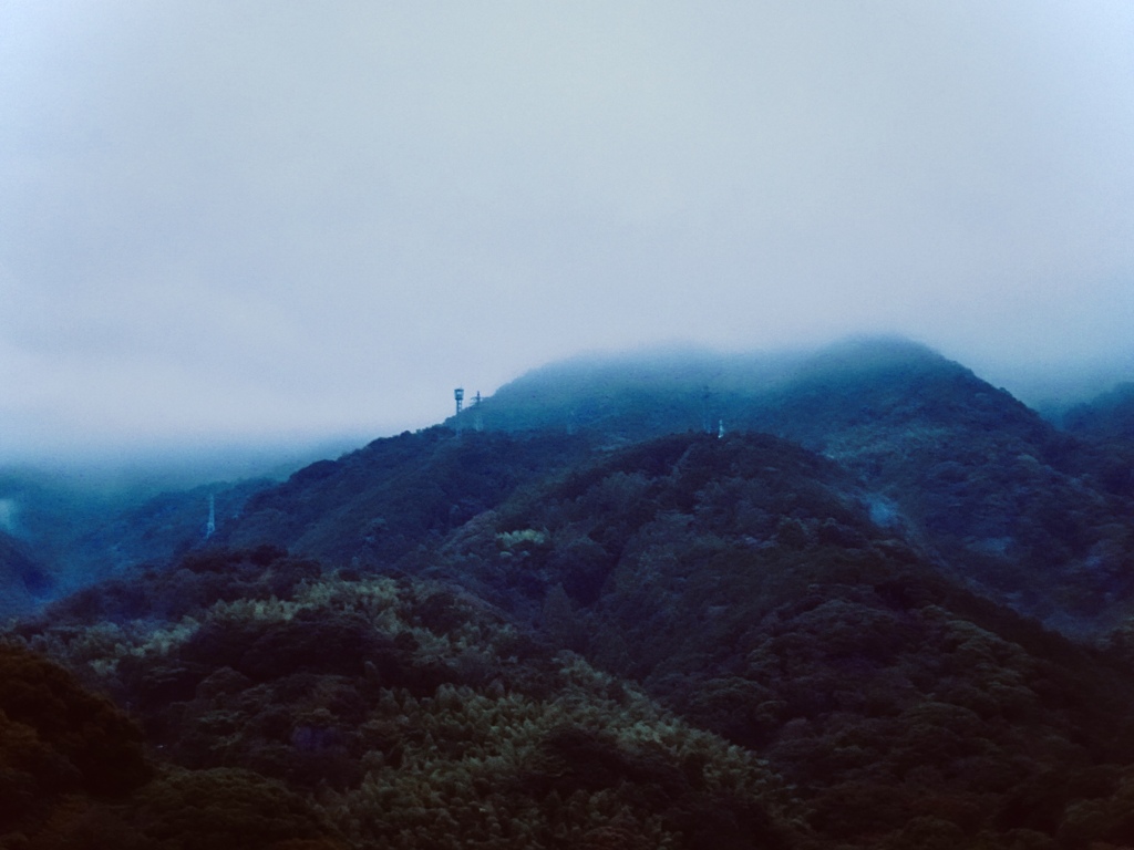 朝もや