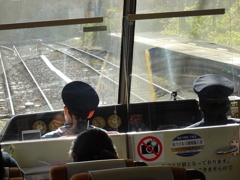 伊豆急行の車窓