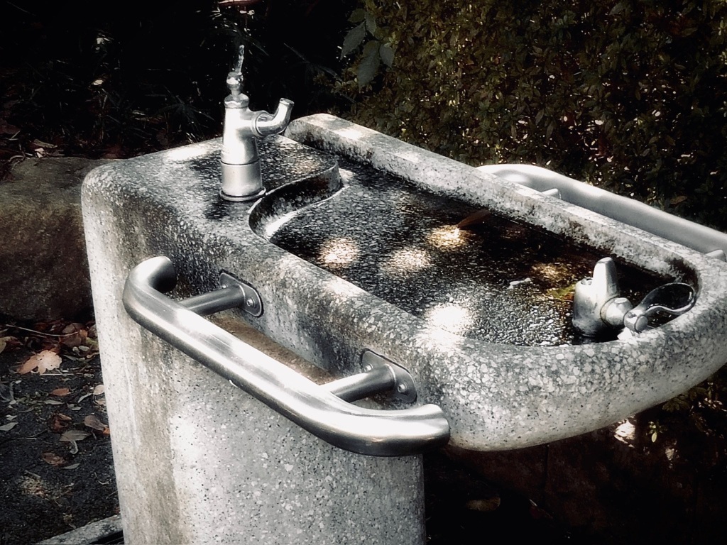 水飲み場