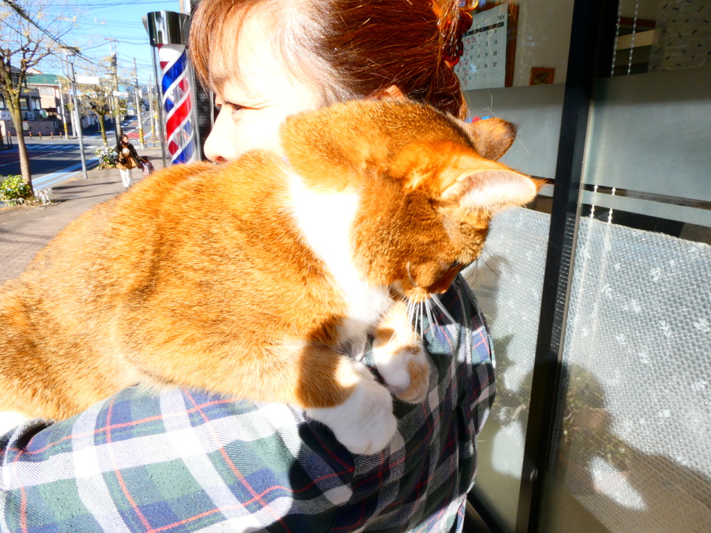 床屋のモカとおばちゃん