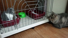 お前誰だ ( 初顔合わせ )