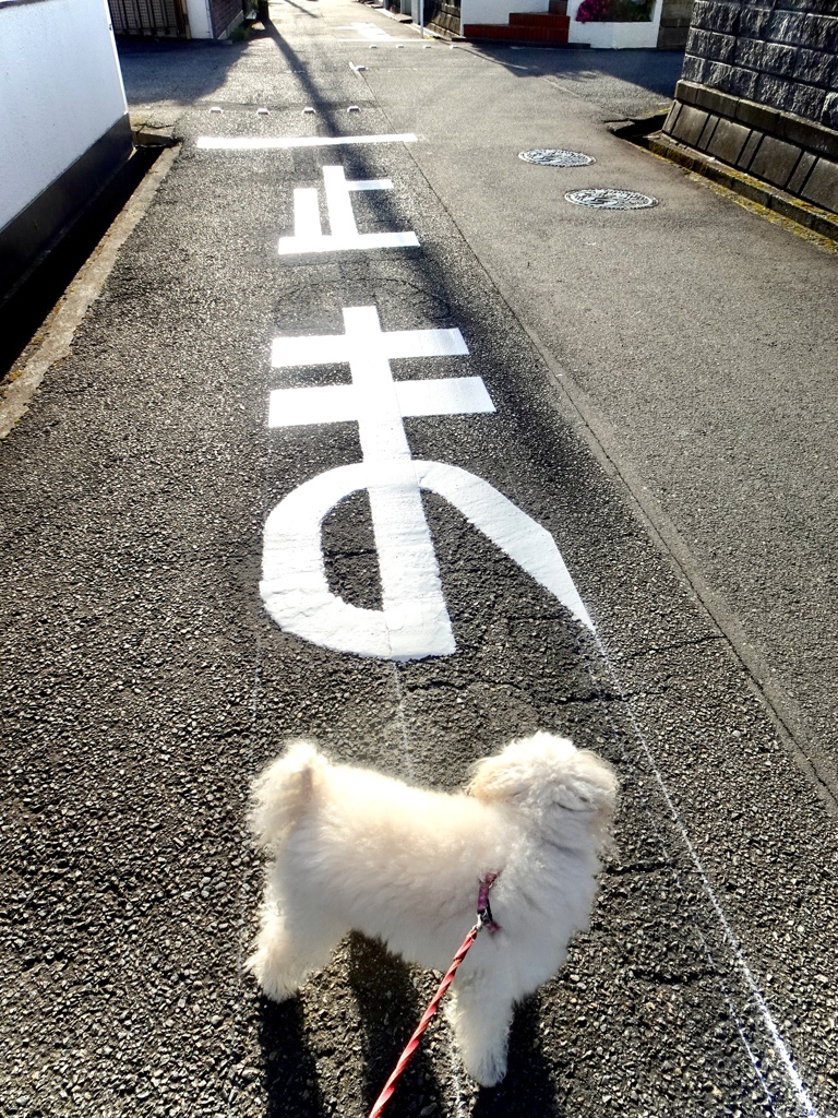 止ま？