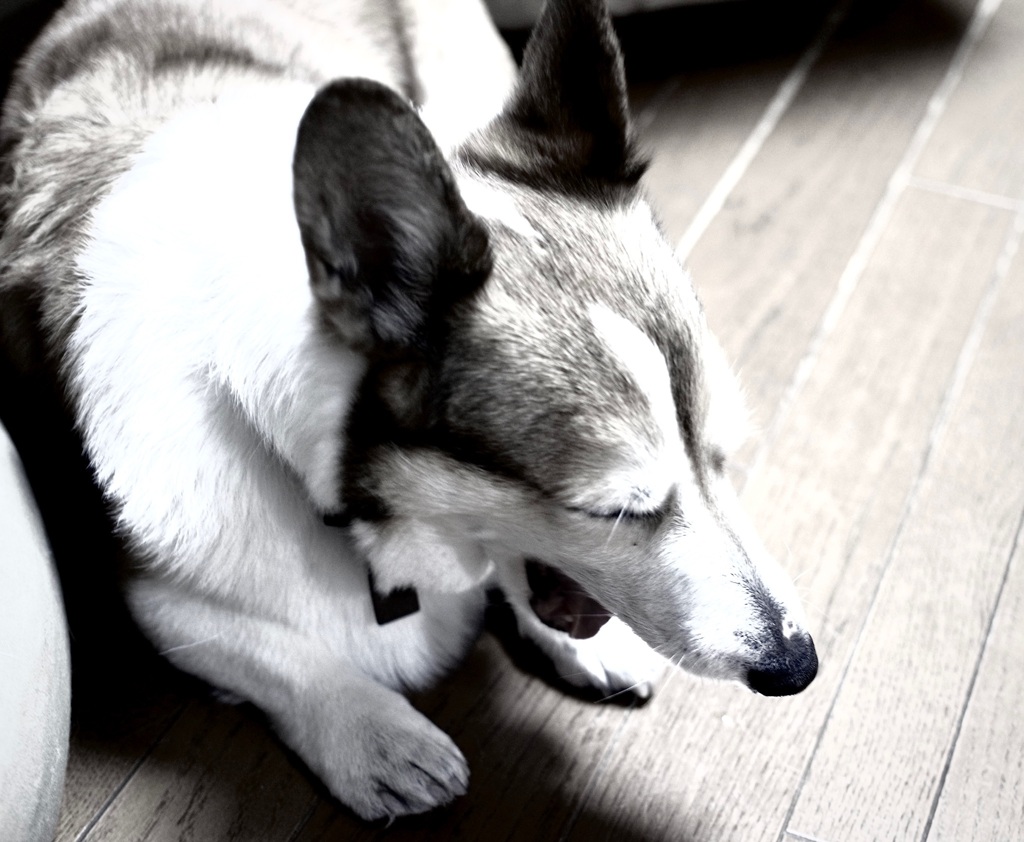 眠いなぁ～
