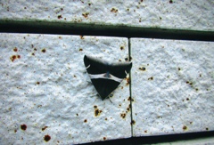 ステルス戦闘機