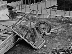 ねこそれともこね ¿