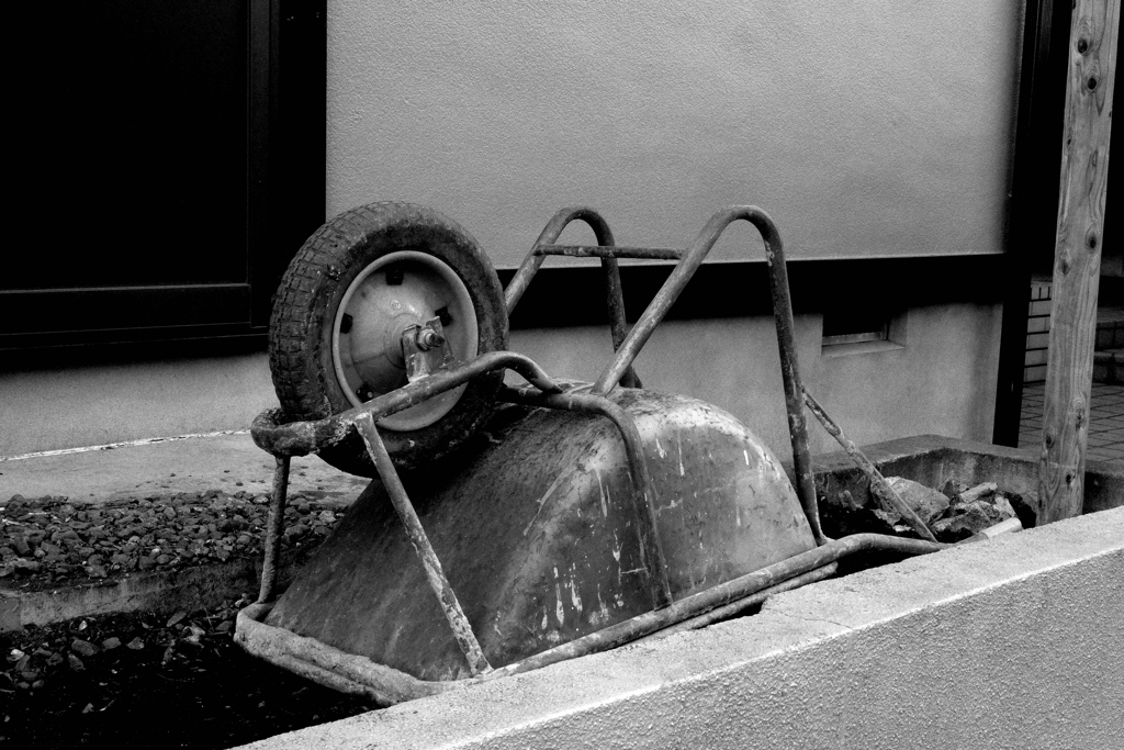 ねこそれともこね