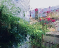 雨の朝