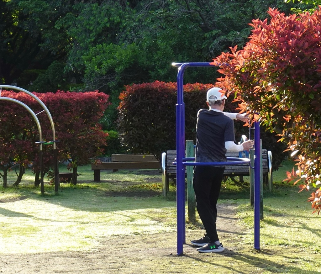 毎日のエクササイズ