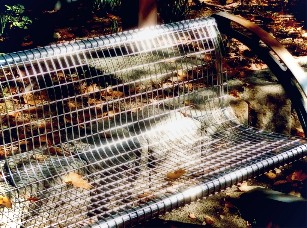 枯葉散るベンチ