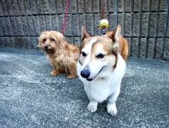 アレンとボビー