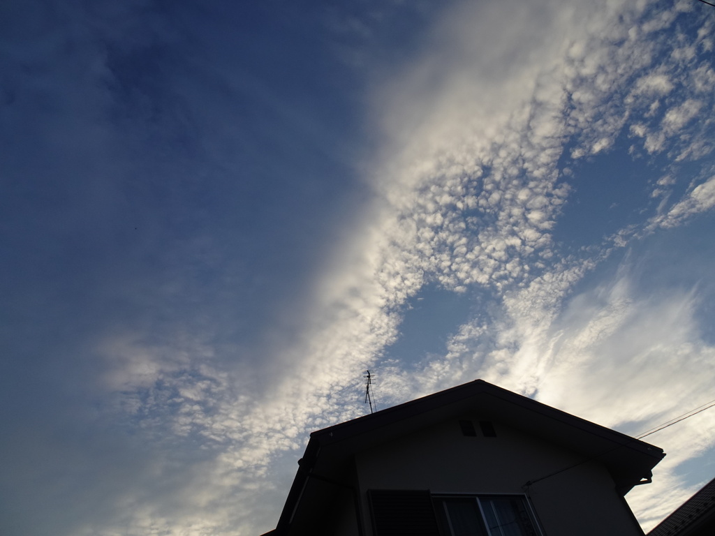 今年の秋空