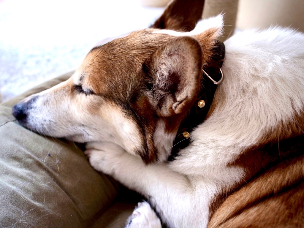 ゆっくりおやすみなさい