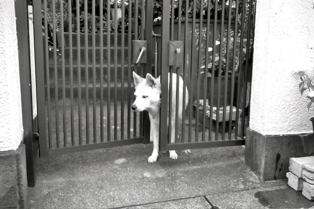 今日はどこに行こうかな