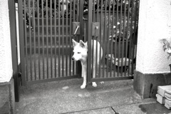 今日はどこに行こうかな