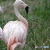 DSCF3520