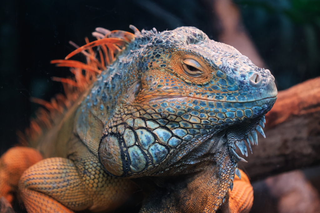 見つめる先には