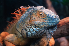 見つめる先には