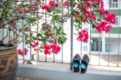 Flowers and shoes