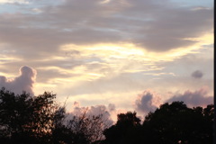 夕暮れ