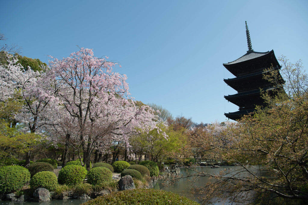 東寺