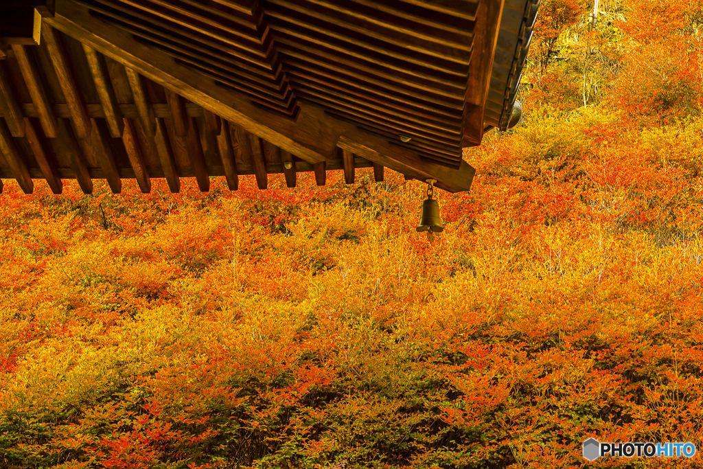 呑山観音寺の紅葉 ３